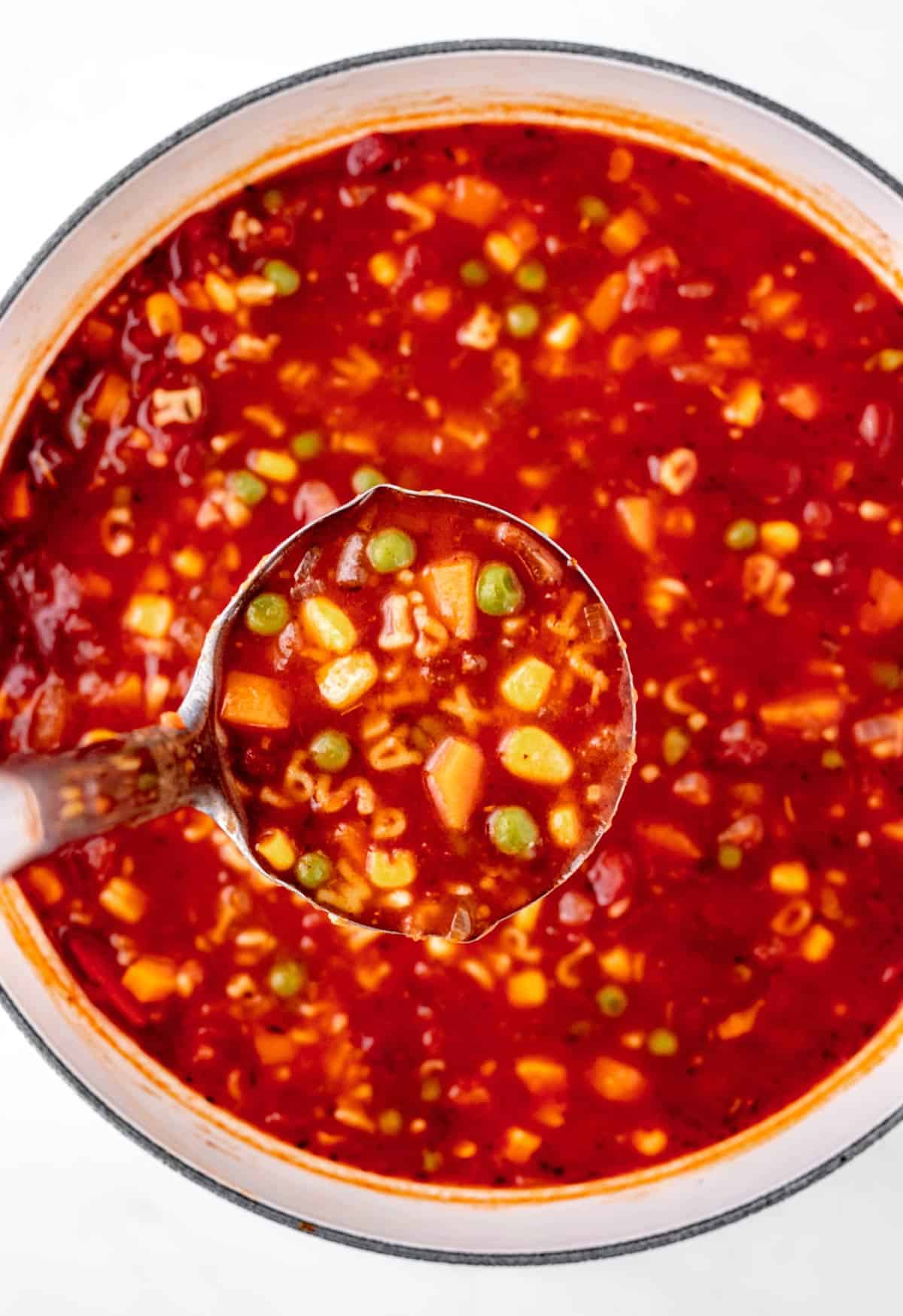 A ladle holding up some of the veggie noodle soup.