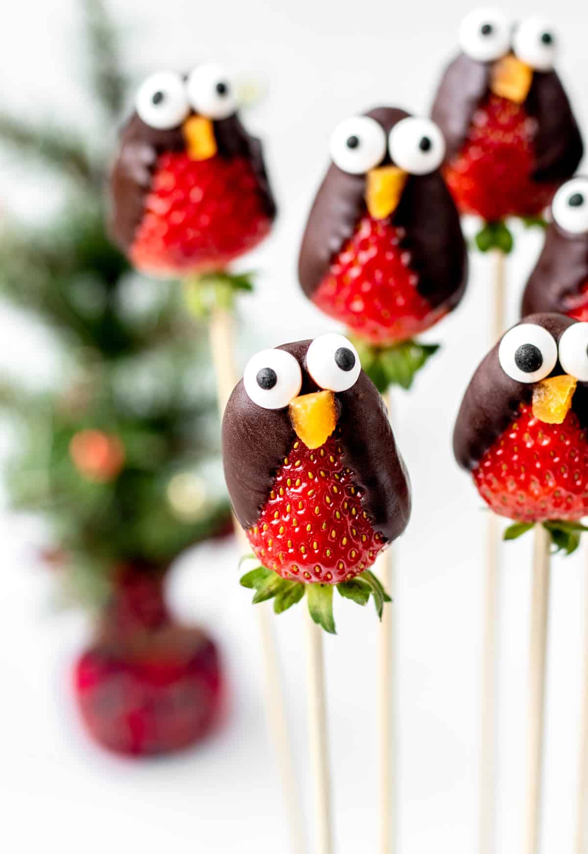 A close-up of the strawberry penguins with candy eyeballs and an apricot beak.