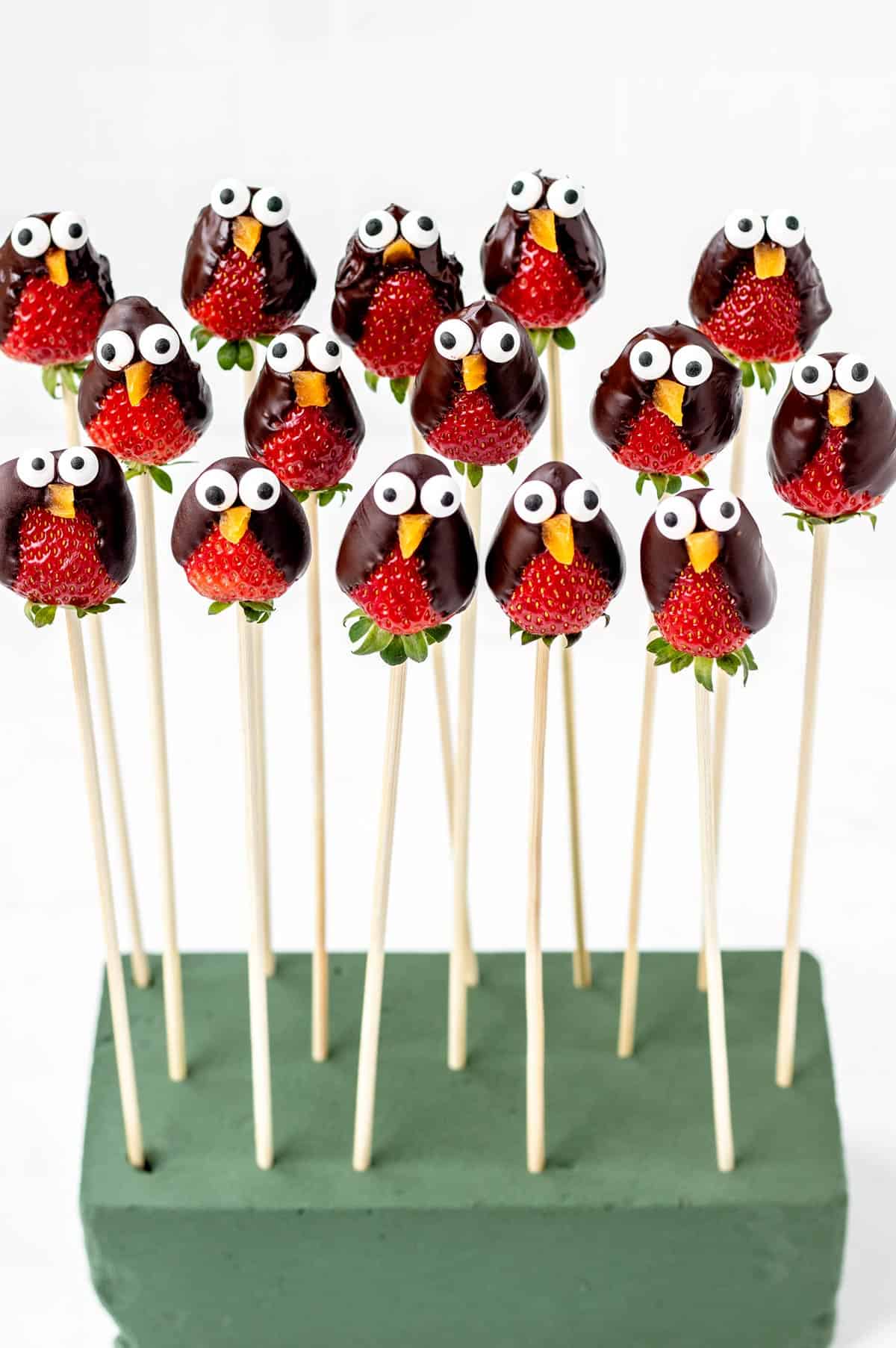 A bunch of strawberry penguins on wooden skewers in a foam block, allowing them to dry.