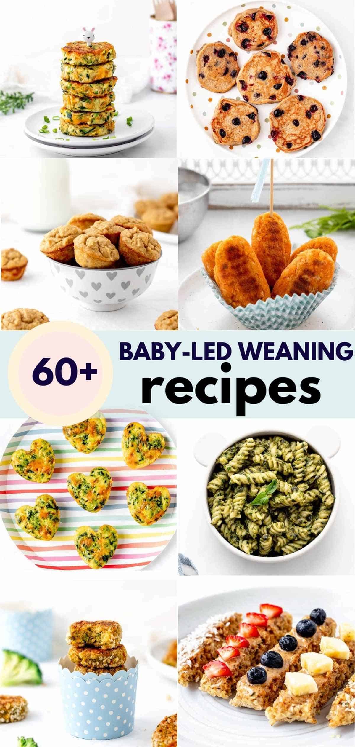 A collage of eight baby-led weaning recipes.