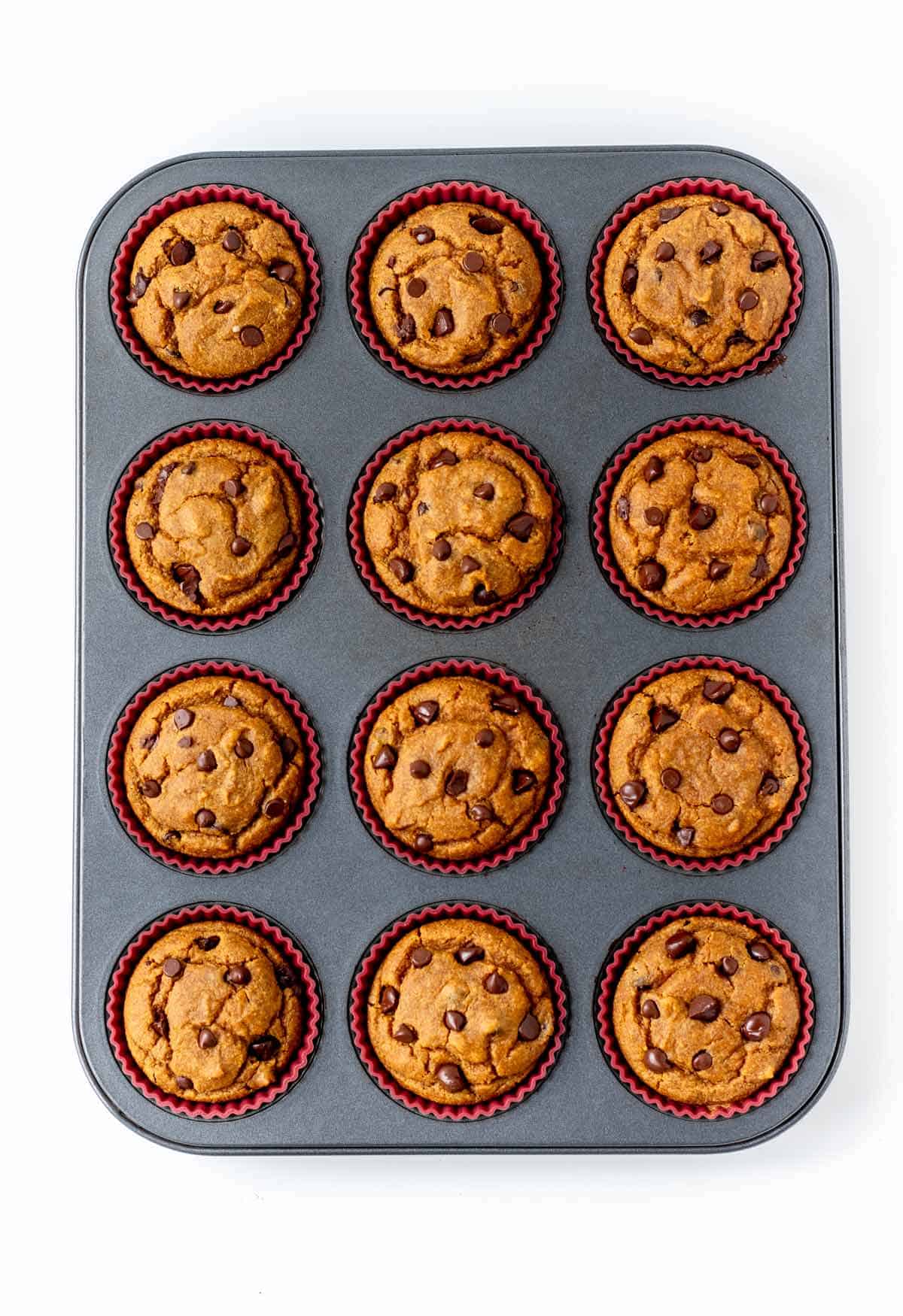 Pumpkin peanut butter muffins in a muffin pan, right out of the oven.