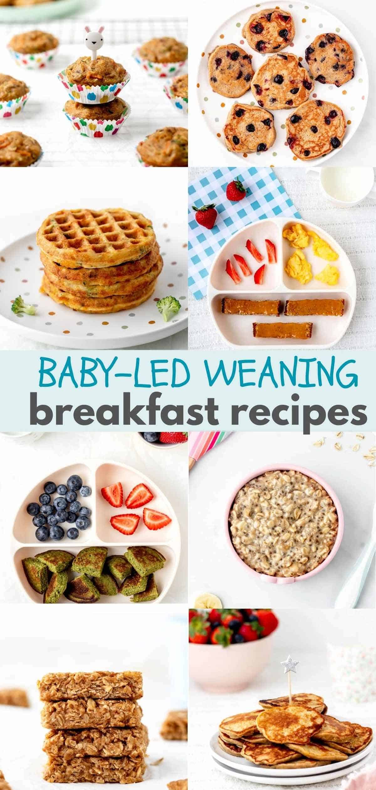 A collage of 8 baby-led weaning breakfast recipes.