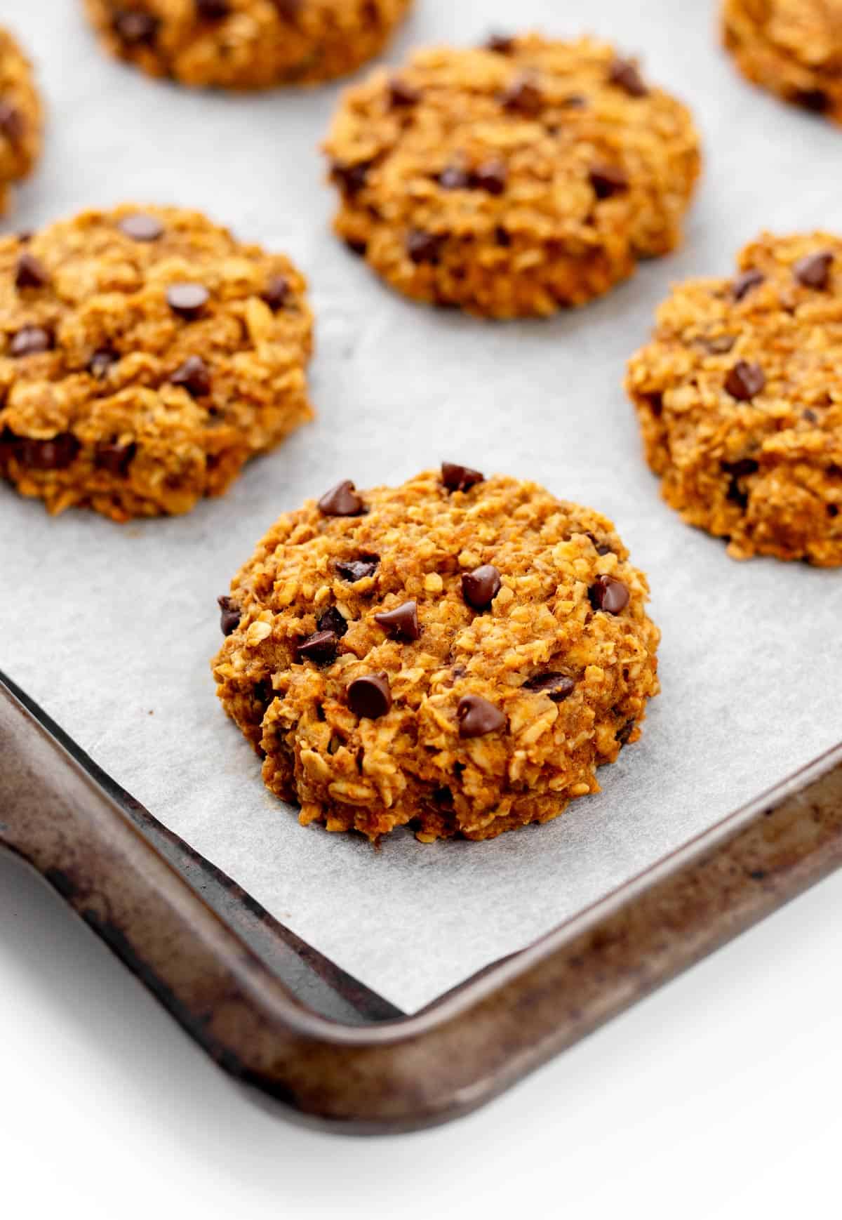 Banana pumpkin cookies on a baking sheet after baking.